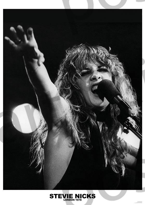 Fleetwood Mac (Stevie Nicks London 1978)