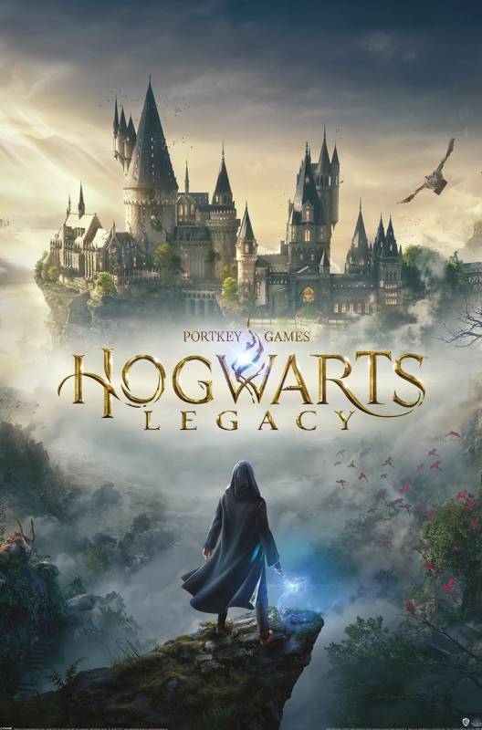 Harry Potter (Hogwarts Legacy) Poster