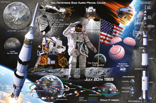 Space (Lunar Landing Maxi Poster)