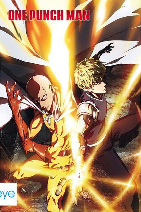 One Punch Man (Genos and Saitama)