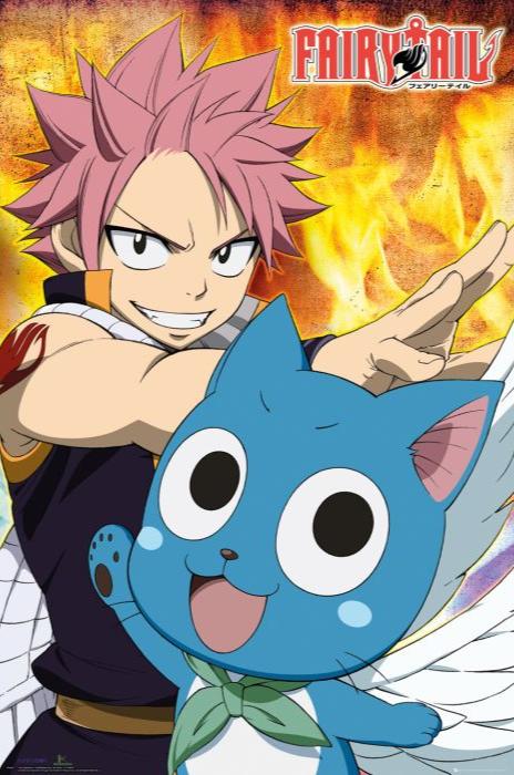 Fairy Tail (Natsu and Happy)