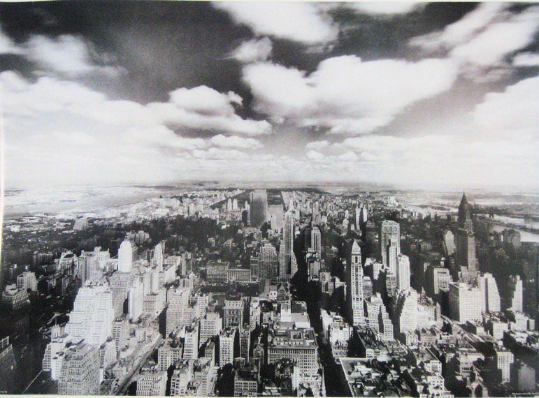 New York City Bird's Eye View Poster