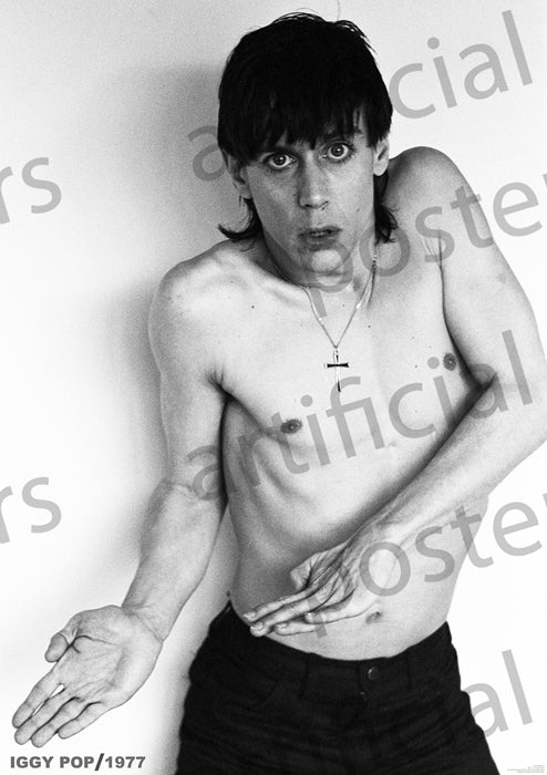 Iggy Pop (1977) Poster