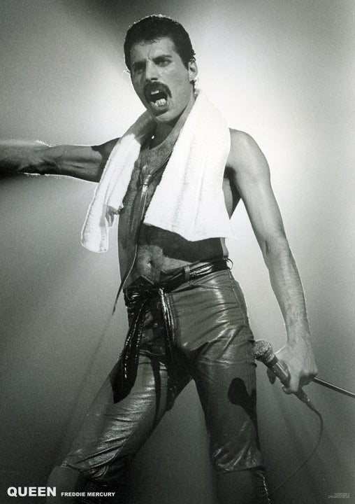 Queen Freddie Mercury (On Stage) Poster