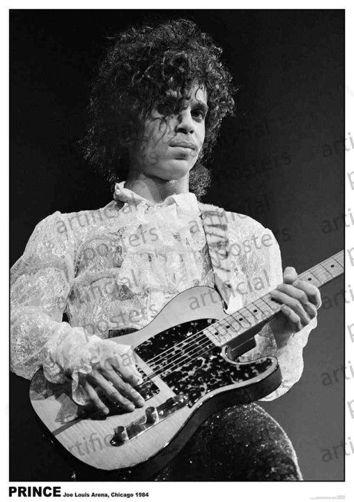 Prince (Joe louis Arena Detroit 1984) Poster