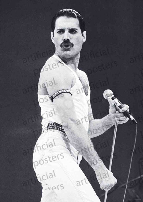 Queen Freddie Mercury (Live Aid) Poster