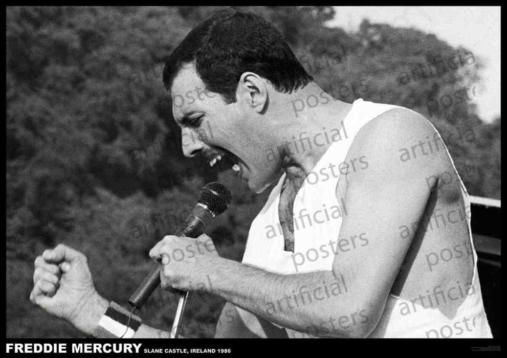 Queen Freddie Mercury (Slane Castle) Poster