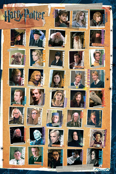 Harry Potter (House Flags) Poster