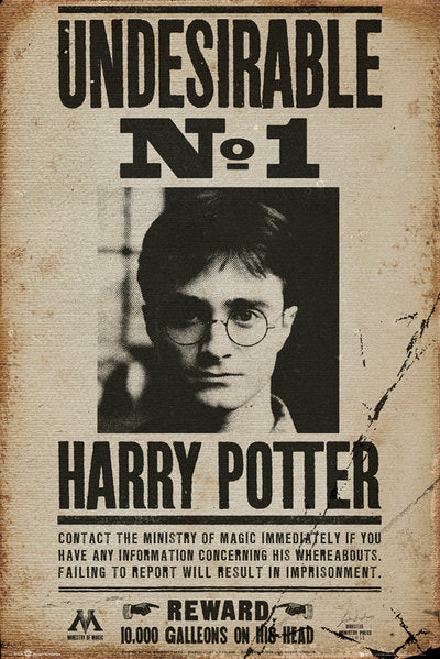 Harry Potter posters - Harry Potter Undesirable No. 1 poster FP3228 – Panic  Posters