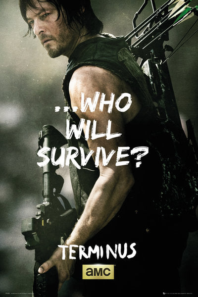 Walking Dead (Daryl) Poster