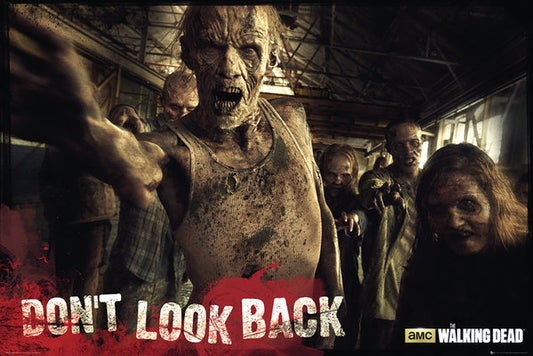 Walking Dead (Zombies) Poster