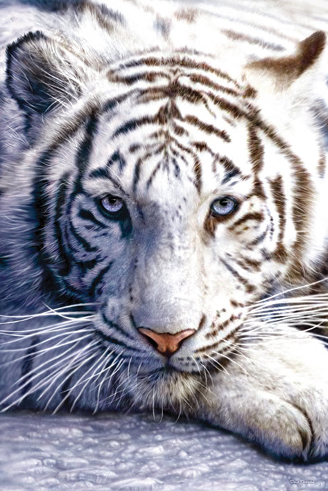 White Tiger Poster