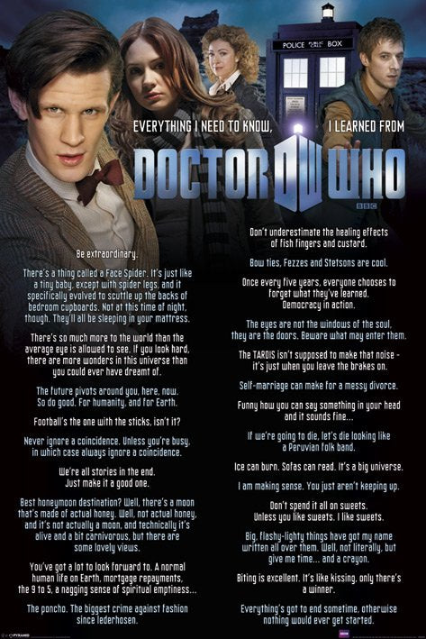 Doctor Who (Everything I Know) Poster