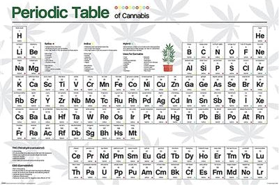Cannabis Periodic Table poster
