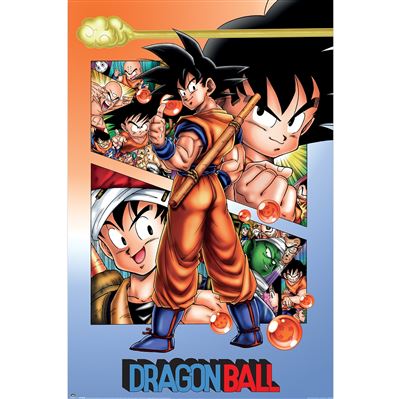 Dragon Ball Goku poster