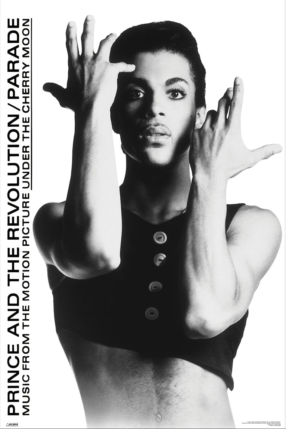 Prince (Maxi Poster)