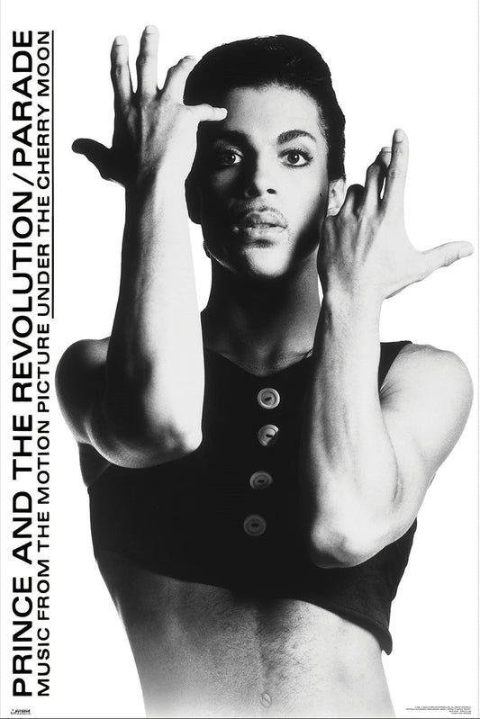 Prince (Maxi Poster)