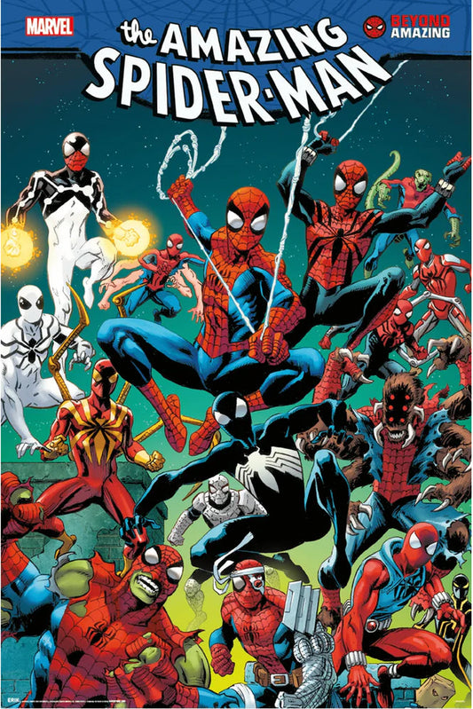 Spider-Man Spider Web poster