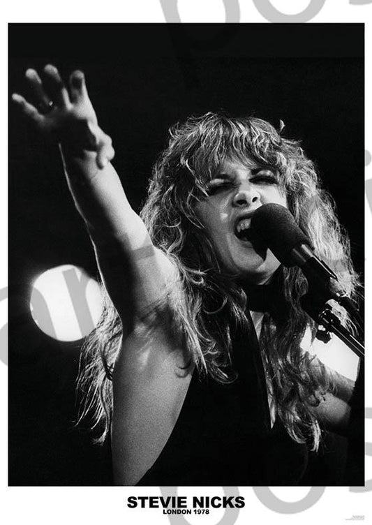 Fleetwood Mac (Stevie Nicks London 1978)