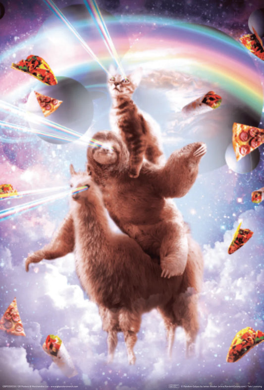 LLama Cat Sloth Pizza poster