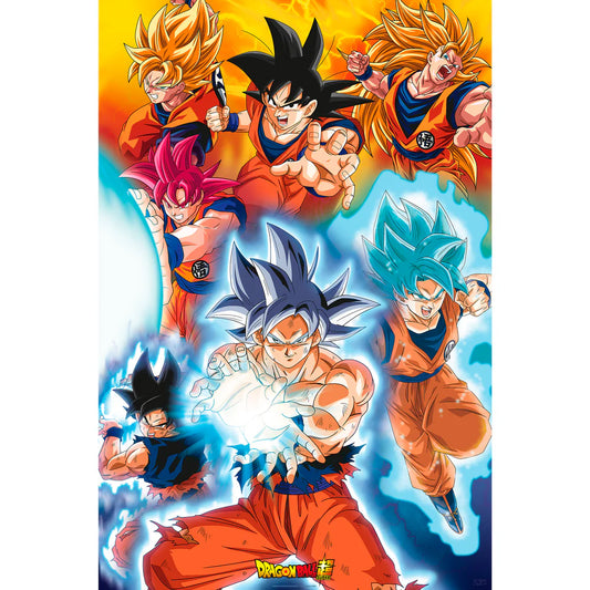 Dragon Ball Goku Variations poster