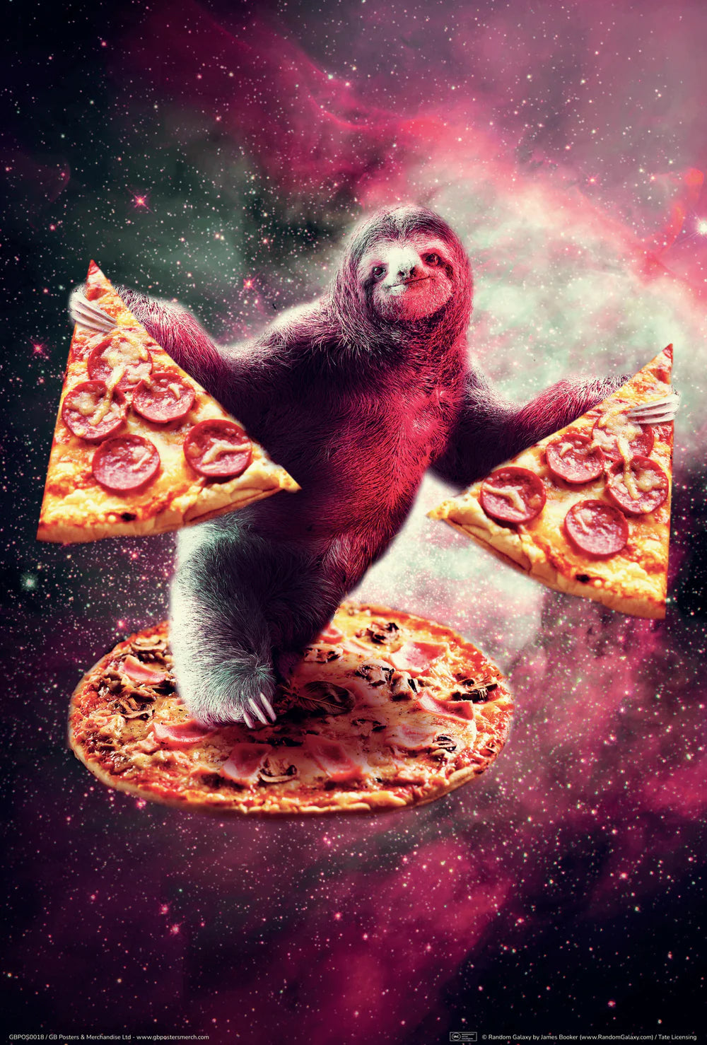 Pizza Sloth poster