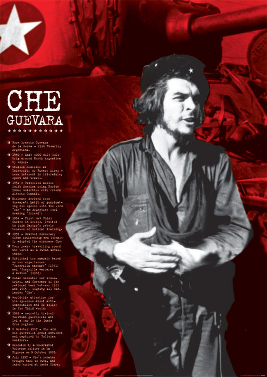 Che Guevara Facts Poster