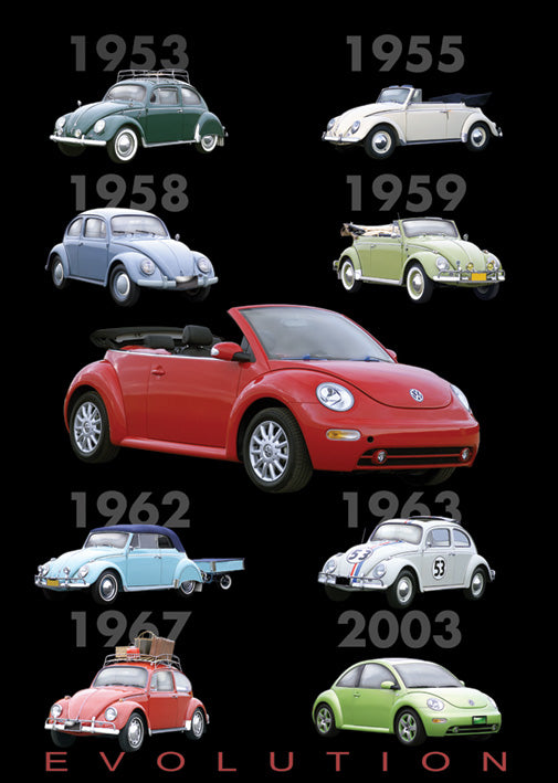 Beetle Poster