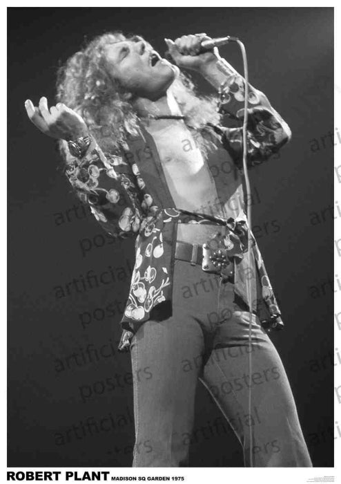 Led Zeppelin (Robert Plant - Madison Sq) Poster