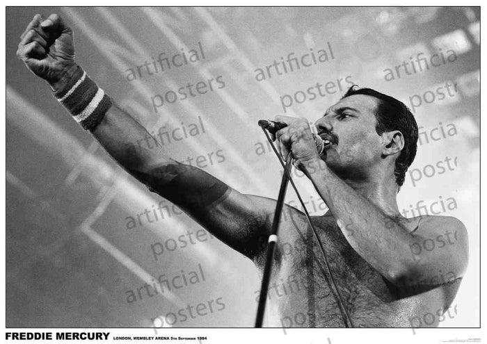 Queen Freddie Mercury (Wembley 1984) Poster