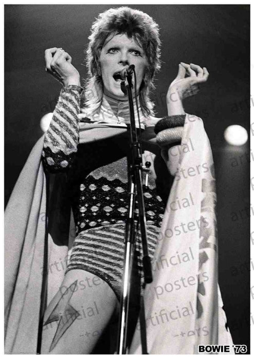 David Bowie (Ziggy Live) Poster
