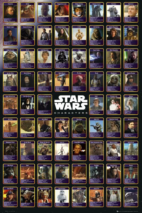 Star Wars Characters Poster