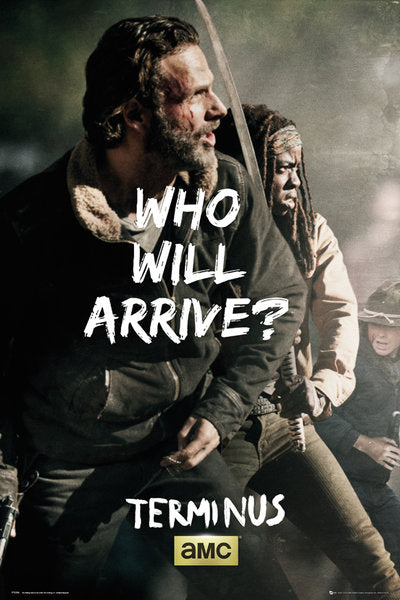 Walking Dead (Rick and Michonne) Poster