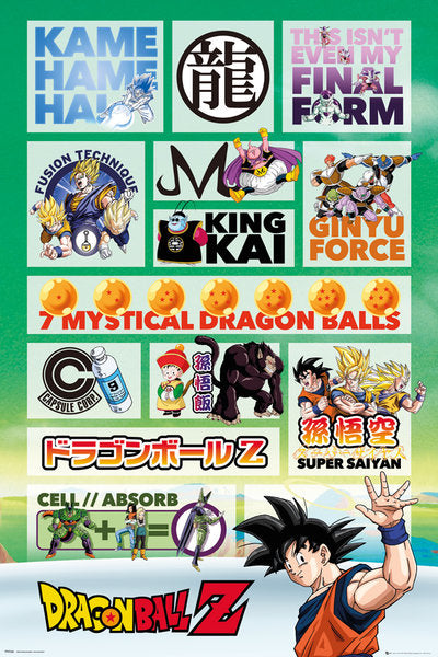 Dragon Ball Z (Infographic) Poster