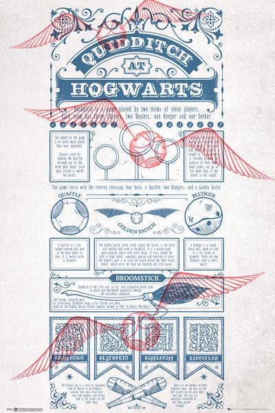 Harry Potter (Quidditch At Hogwarts) Poster