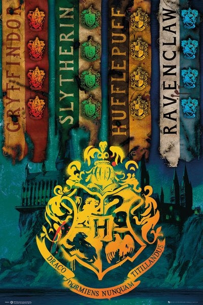 Harry Potter (House Flags) Poster