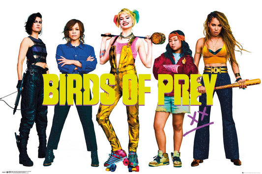 Birds Of Prey (Group) Poster