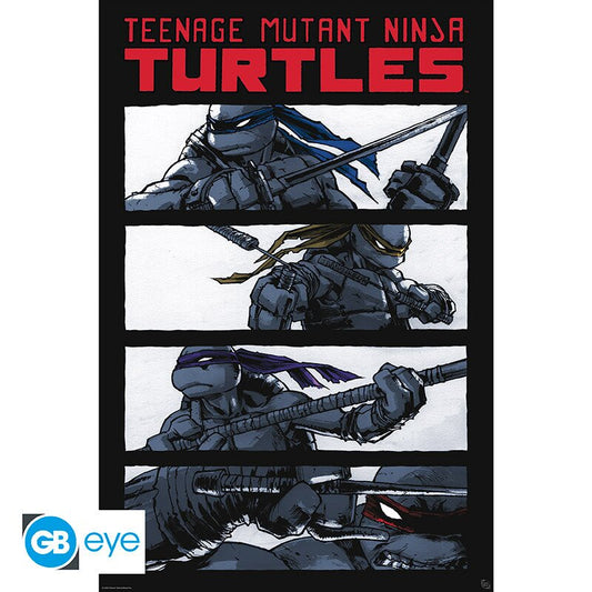 Teenage Mutant Ninja Turtles (TMNT) Poster