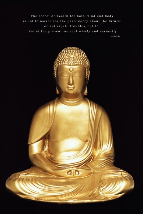 Buddha Wisdom Poster