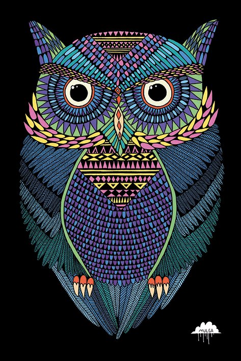 Michael The Magic Owl Poster