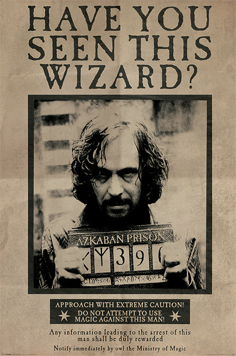Harry Potter (Sirius Black) Poster
