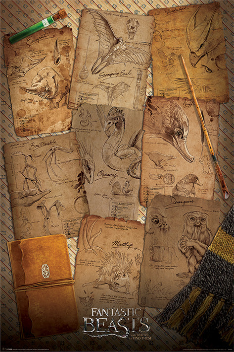 Fantastic Beasts (Notebook Pages) Poster