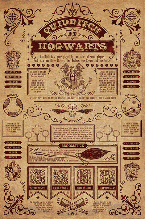Harry Potter Quidditch At Hogwarts Poster