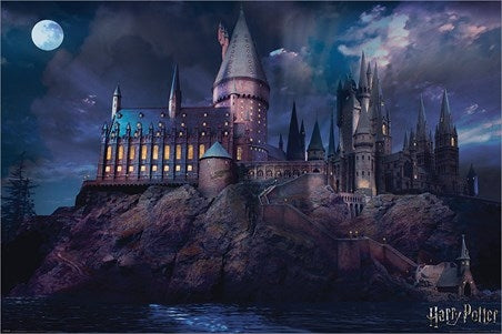 Harry Potter (Hogwarts) Poster