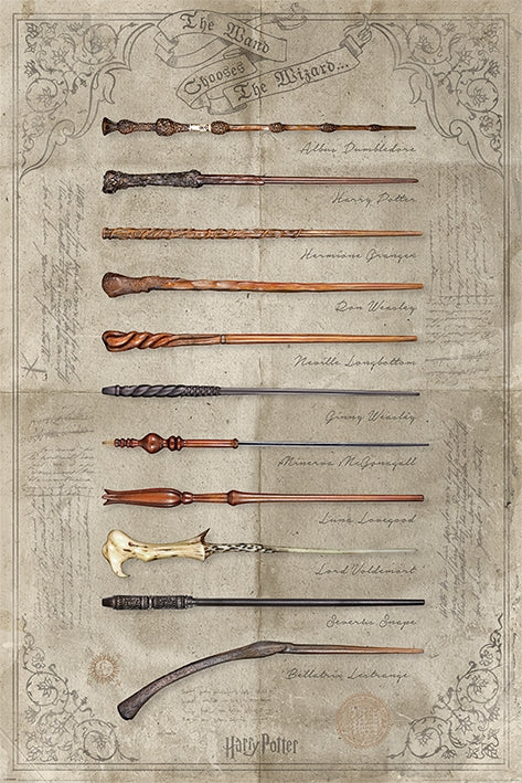 Harry Potter (Wand Chooses The Wizard) Poster