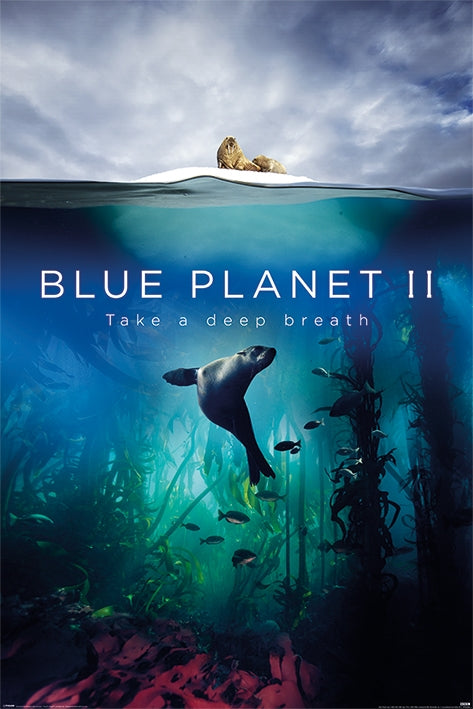 Blue Planet II (Take A Deep Breath) Poster