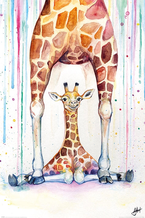 Marc Allante (Gorgeous Giraffes) Poster
