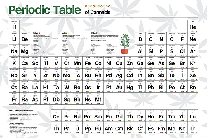 Cannabis (Periodic Table) Poster