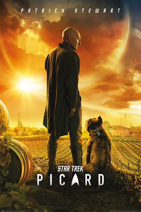 Star Trek Picard (Picard Number One) Poster