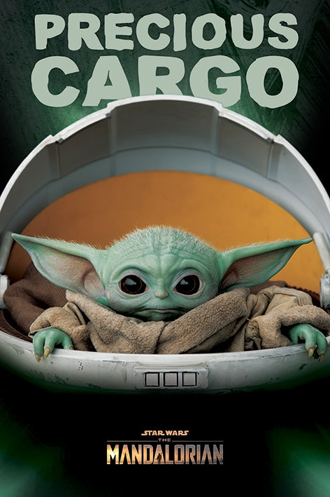 Star Wars: The Mandalorian (Precious Cargo) Poster